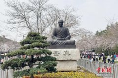 江苏扬州2026鉴真樱花季启幕